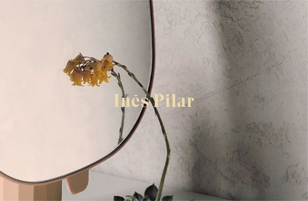 An image uploaded to Strapi